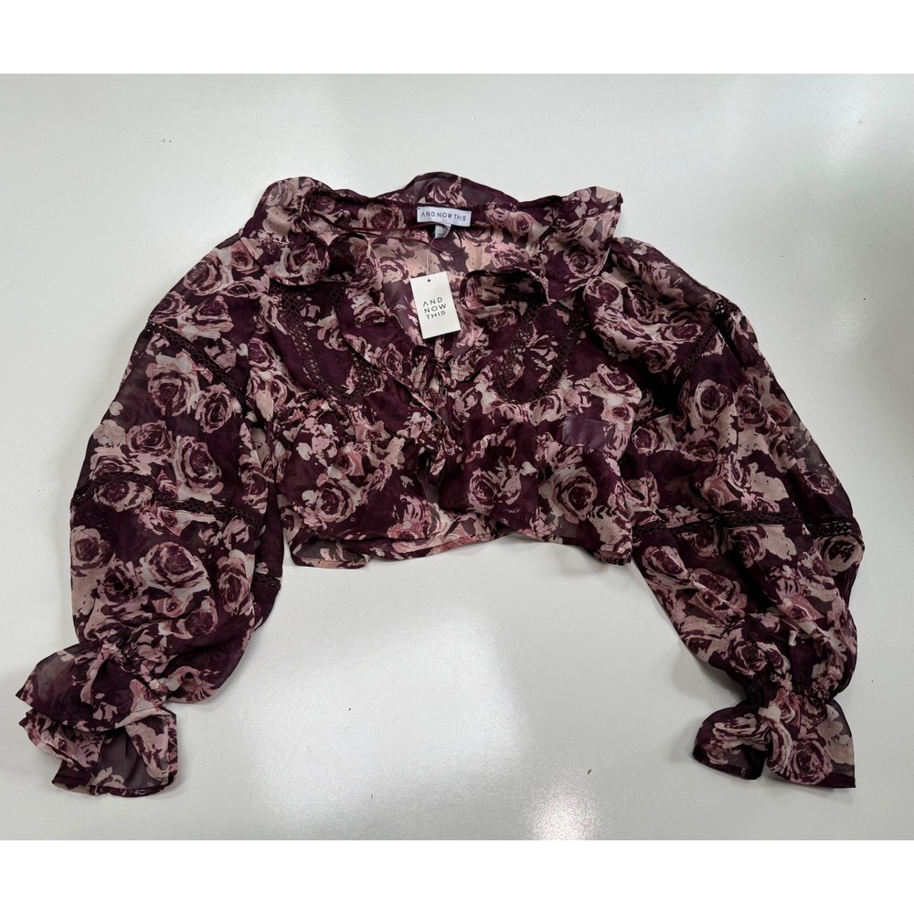 And Now This Womens Floral Ruffle Crop Top Burgundy Sheer Balloon Sleeve S NEW
